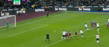 年轻门将迅速成长，被誉为未来之星